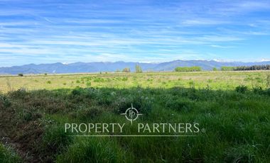 Gran campo cercano a Linares