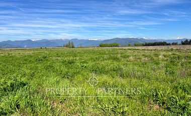 Gran campo cercano a Linares