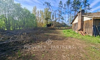 Gran campo cercano a Linares