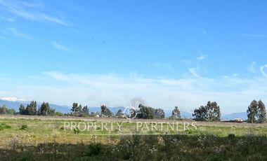 Gran campo cercano a Linares