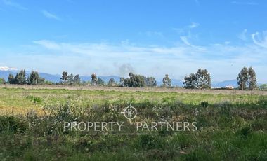 Gran campo cercano a Linares