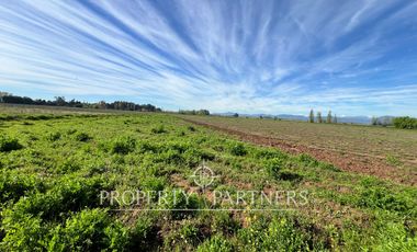 Gran campo cercano a Linares