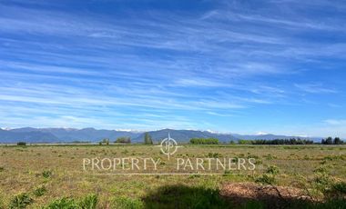 Gran campo cercano a Linares