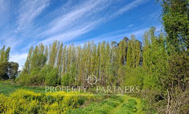 Gran campo cercano a Linares