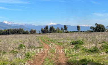 Gran campo cercano a Linares