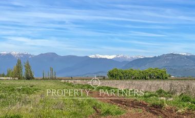 Gran campo cercano a Linares
