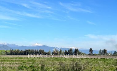 Gran campo cercano a Linares