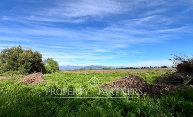 Gran campo cercano a Linares