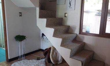 SECTOR CLUB POLO - SAN FERNANDO