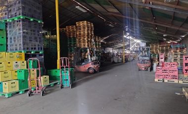 TERRENO PARA INMOBILIARIA METRO CONCHALÍ