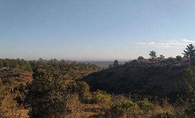 CAMINO LAS DICHAS/ NTA SRA DE GUAGALUPE