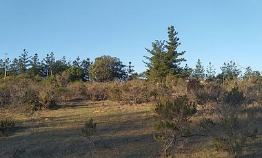 CAMINO LAS DICHAS/ NTA SRA DE GUAGALUPE