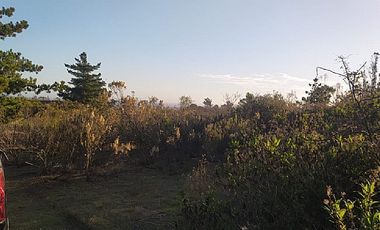 CAMINO LAS DICHAS/ NTA SRA DE GUAGALUPE