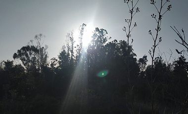 CAMINO LAS DICHAS/ NTA SRA DE GUAGALUPE