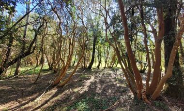 LLIFÉN / RÍO CALCURRUPE / VALOR POR CADA NOCHE