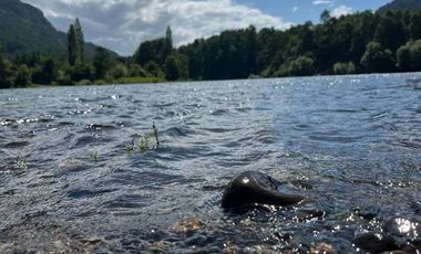 LLIFÉN / RÍO CALCURRUPE / VALOR POR CADA NOCHE