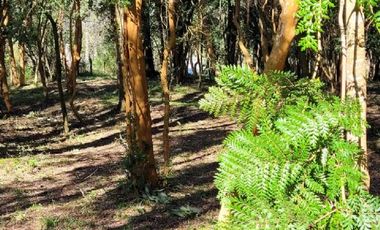 LLIFÉN / RÍO CALCURRUPE / VALOR POR CADA NOCHE