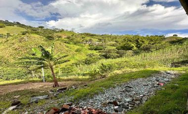 FINCA EN ARRIENDO EN FILADELFIA/CALDAS