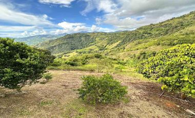 FINCA EN ARRIENDO EN FILADELFIA/CALDAS