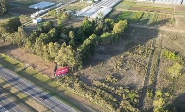 Terreno en alquiler - 1.200Mts2 - La Plata