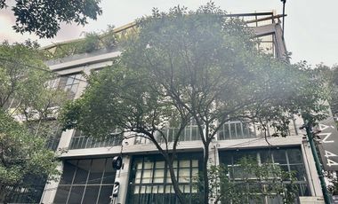 Juárez renta increíble local