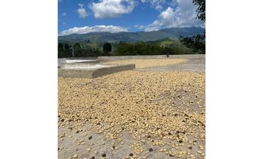 SE VENDE FINCA AMOBLADA EN LOS PINOS - SALENTO QUINDO.