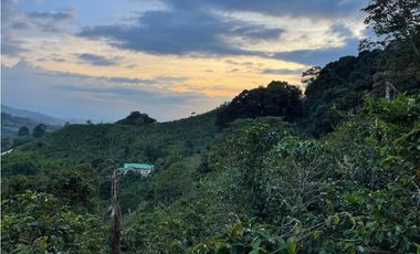 SE VENDE FINCA AMOBLADA EN LOS PINOS - SALENTO QUINDO.
