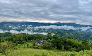 SE VENDE FINCA AMOBLADA EN LOS PINOS - SALENTO QUINDO.