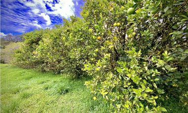 Venta Lote Parcelacion Via San Antonio La Ceja