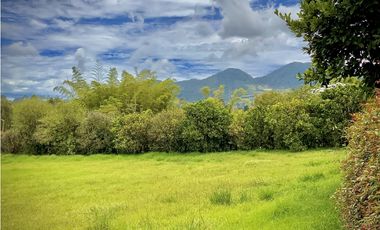 Venta Lote Parcelacion Via San Antonio La Ceja