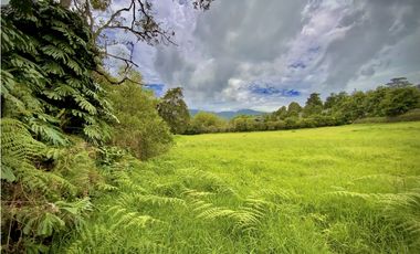Venta Lote Parcelacion Via San Antonio La Ceja