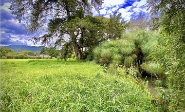 Venta Lote Parcelacion Via San Antonio La Ceja