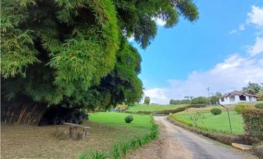 LOTE EN CONJUNTO - CIRCASIA QUINDO