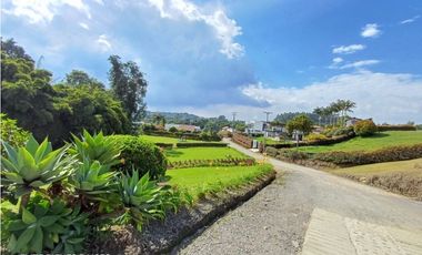 LOTE EN CONJUNTO - CIRCASIA QUINDO