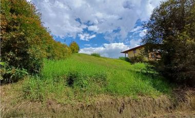 LOTE EN CONJUNTO - CIRCASIA QUINDO