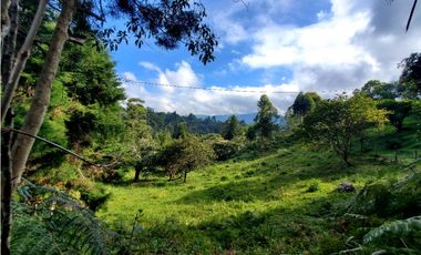 Lote en venta en Guarne – Vereda La Hondita. 3.833 m2   LM