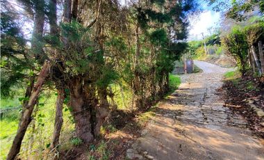 Lote en venta en Guarne – Vereda La Hondita. 3.833 m2   LM