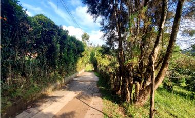 Lote en venta en Guarne – Vereda La Hondita. 3.833 m2   LM