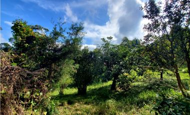 Lote en venta en Guarne – Vereda La Hondita. 3.833 m2   LM