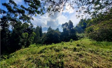 Lote en venta en Guarne – Vereda La Hondita. 3.833 m2   LM