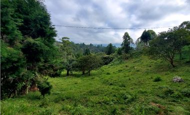 Lote en venta en Guarne – Vereda La Hondita. 3.833 m2   LM