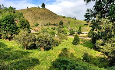 Lote en venta en Guarne – Vereda La Hondita. 3.833 m2   LM