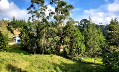 Lote en venta en Guarne – Vereda La Hondita. 3.833 m2   LM