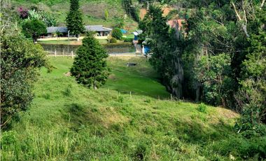 Lote en venta en Guarne – Vereda La Hondita. 3.833 m2   LM