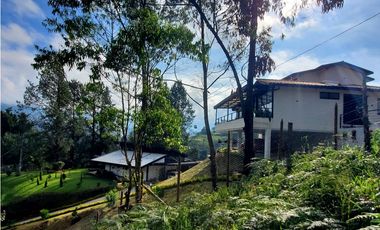 Lote en venta en Guarne – Vereda La Hondita. 3.833 m2   LM