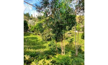Lote en venta en Guarne – Vereda La Hondita. 3.833 m2   LM