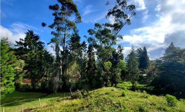Lote en venta en Guarne – Vereda La Hondita. 3.833 m2   LM