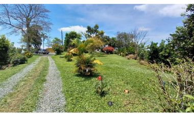 Finca de 13 cuadras en cafe platano y aguacate