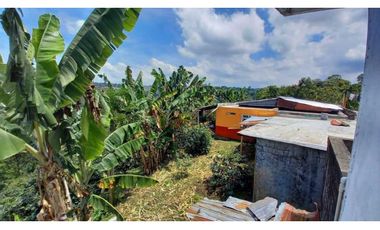 Finca de 13 cuadras en cafe platano y aguacate