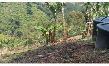 Finca de 13 cuadras en cafe platano y aguacate